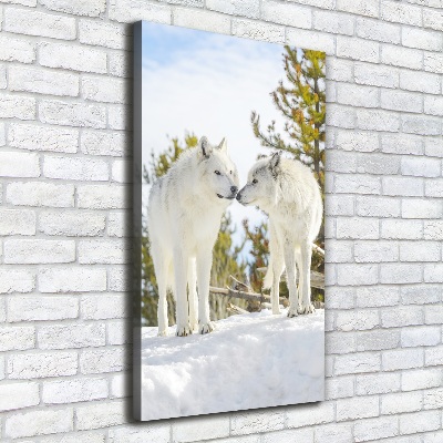 Verticale canvasfoto Twee witte wolven