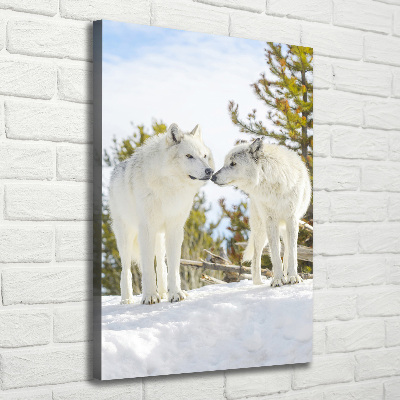 Verticale canvasfoto Twee witte wolven