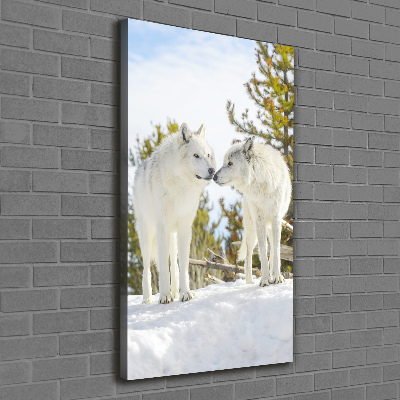 Verticale canvasfoto Twee witte wolven
