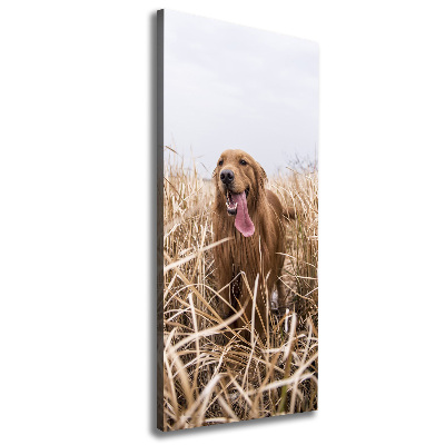 Verticaal schilderij op canvas Gouden retriever
