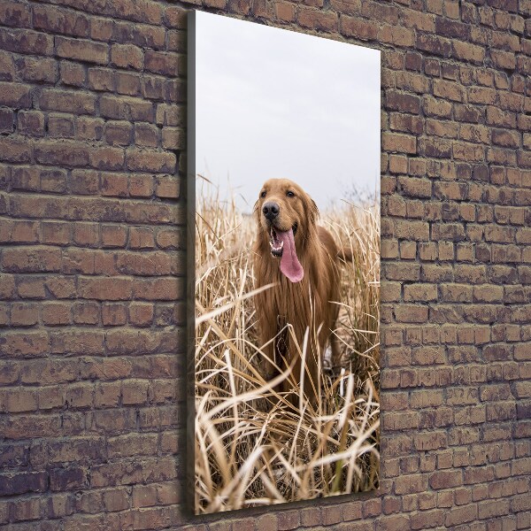 Verticaal schilderij op canvas Gouden retriever