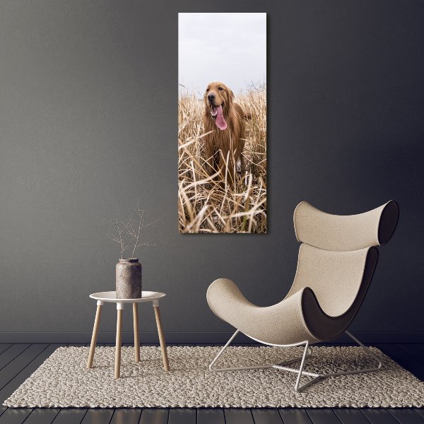 Verticaal schilderij op canvas Gouden retriever