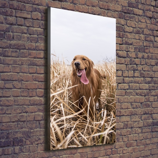 Verticaal schilderij op canvas Gouden retriever
