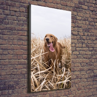 Verticaal schilderij op canvas Gouden retriever