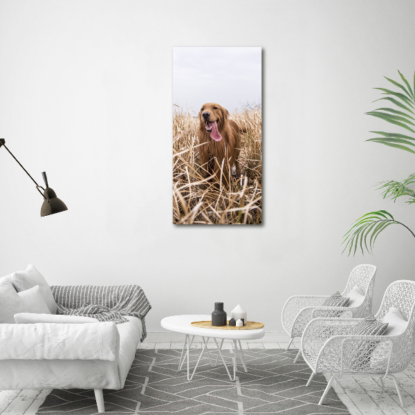 Verticaal schilderij op canvas Gouden retriever