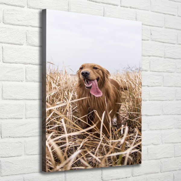 Verticaal schilderij op canvas Gouden retriever