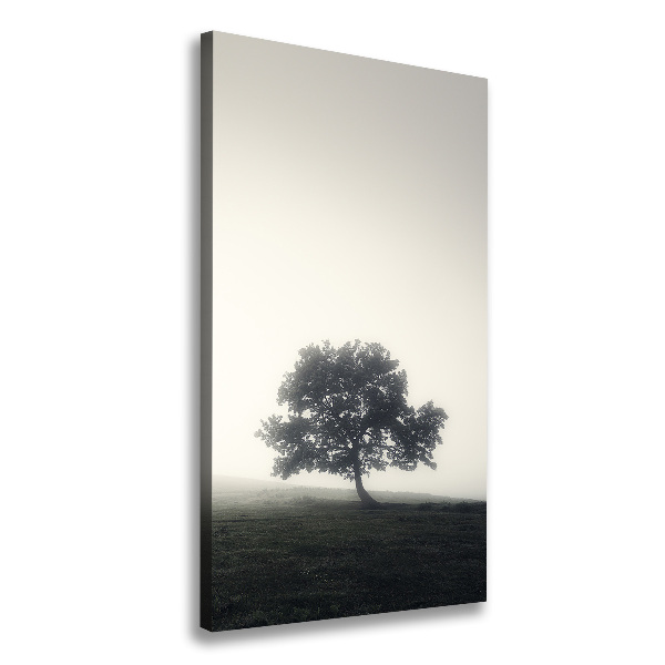 Verticale foto op canvas Boom in de mist
