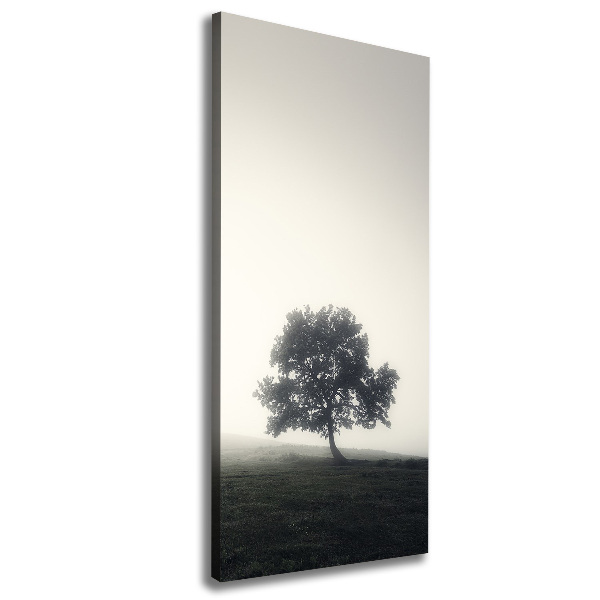 Verticale foto op canvas Boom in de mist