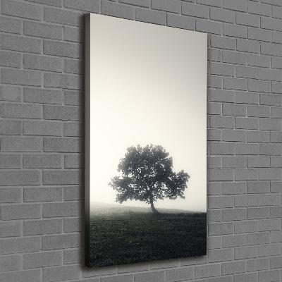 Verticale foto op canvas Boom in de mist