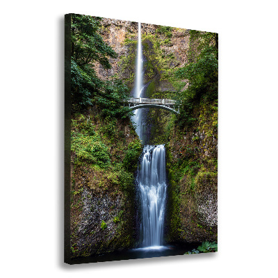 Verticale foto op canvas Waterval
