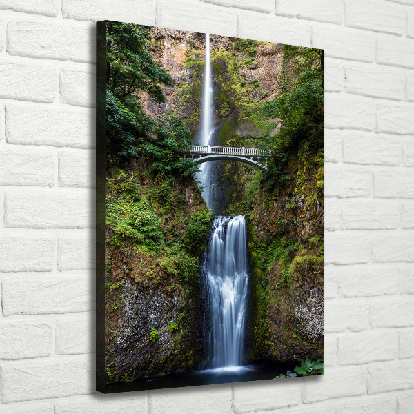 Verticale foto op canvas Waterval