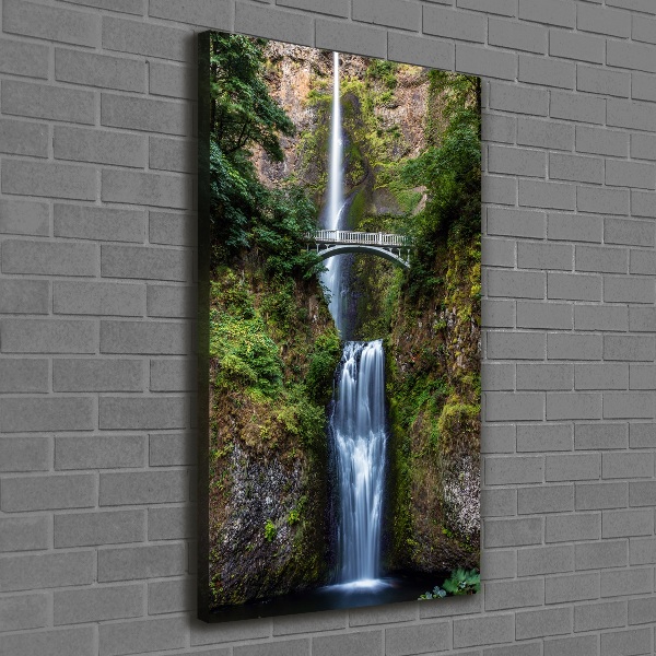 Verticale foto op canvas Waterval