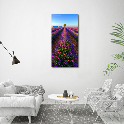 Verticaal schilderij op canvas Lavendelveld