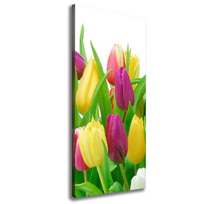 Verticale foto op canvas Kleurrijke tulpen