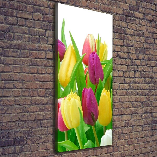 Verticale foto op canvas Kleurrijke tulpen