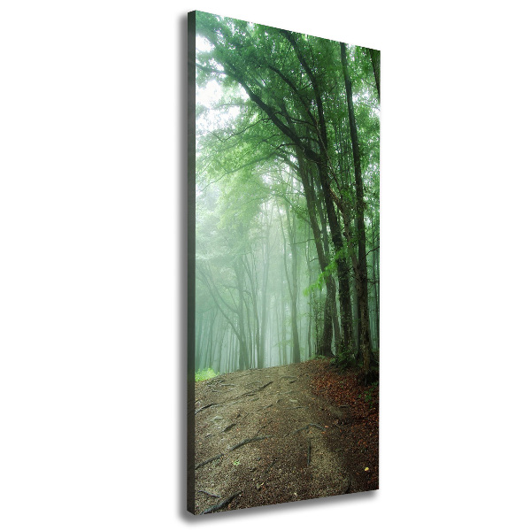 Verticaal canvasschilderij Mist in het bos