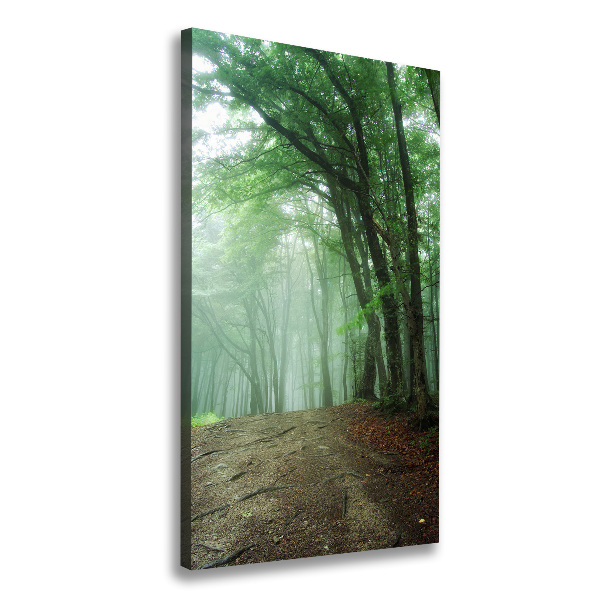 Verticaal canvasschilderij Mist in het bos