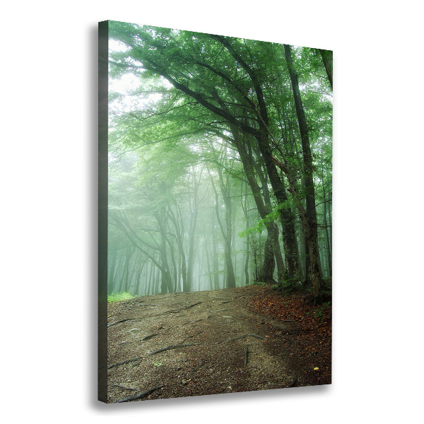 Verticaal canvasschilderij Mist in het bos