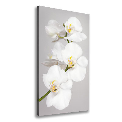 Verticaal canvasschilderij Witte orchidee