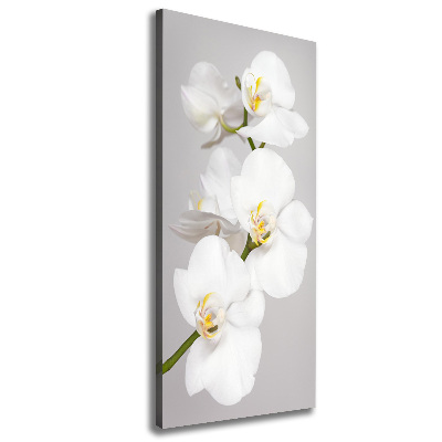 Verticaal canvasschilderij Witte orchidee