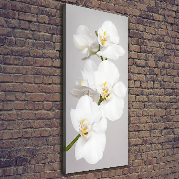 Verticaal canvasschilderij Witte orchidee