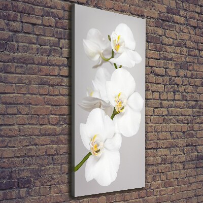 Verticaal canvasschilderij Witte orchidee