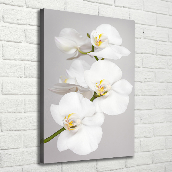 Verticaal canvasschilderij Witte orchidee