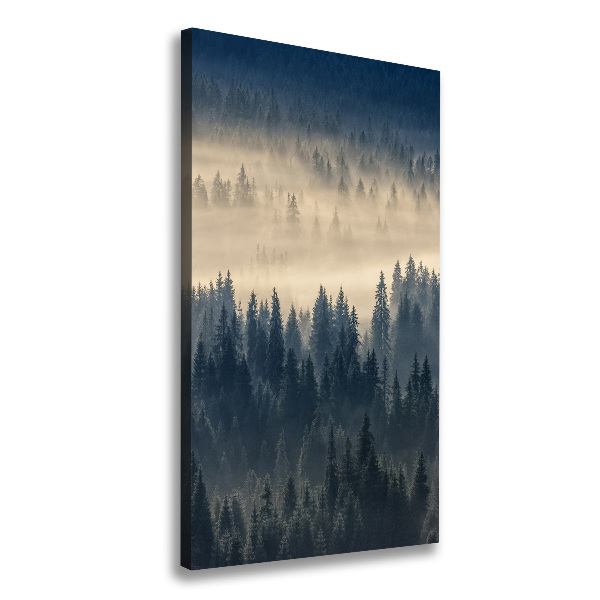 Verticaal schilderij op canvas Mist boven het bos