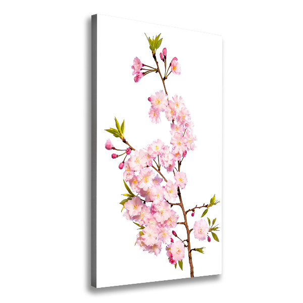 Verticale canvasfoto Kersenbloesems