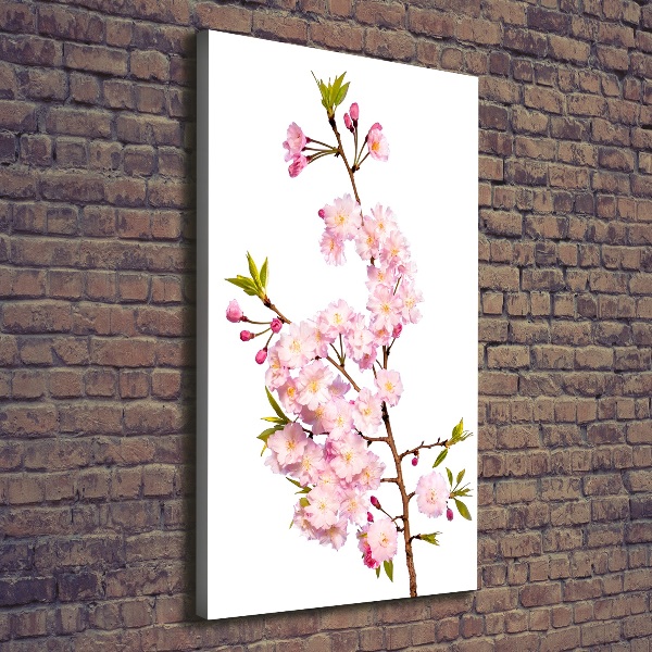 Verticale canvasfoto Kersenbloesems