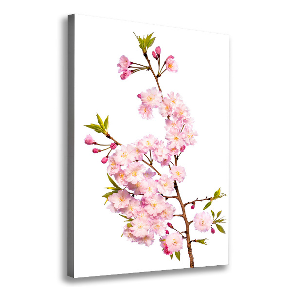 Verticale canvasfoto Kersenbloesems