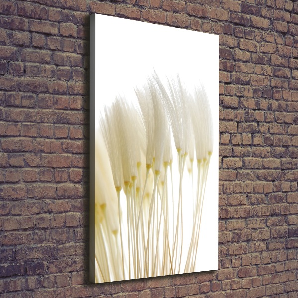 Verticaal canvasschilderij Paardenbloemzaden