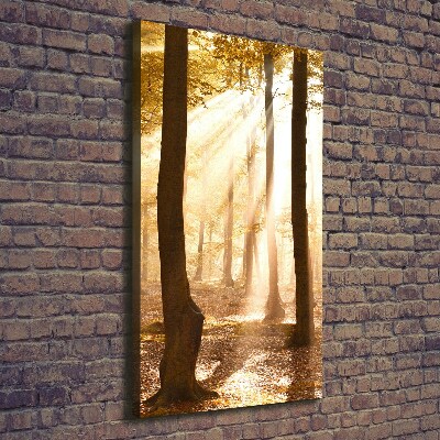 Verticale canvasfoto Bos in de herfst