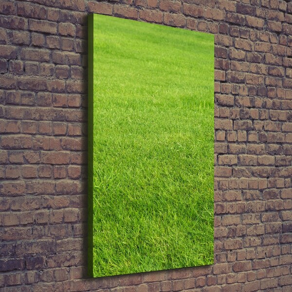 Verticaal canvasschilderij Groen gras