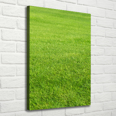 Verticaal canvasschilderij Groen gras
