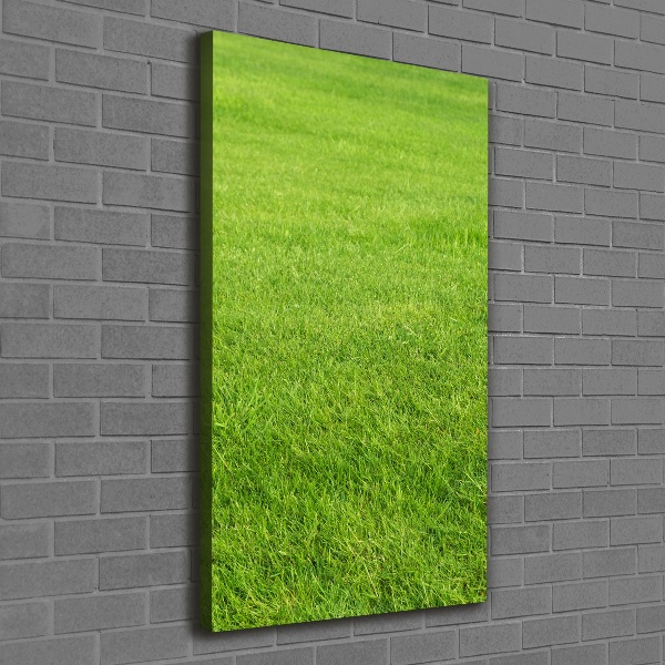 Verticaal canvasschilderij Groen gras