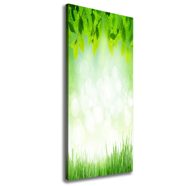 Verticaal schilderij op canvas Bladeren en gras