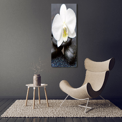 Verticaal canvasschilderij Orchidee en stenen