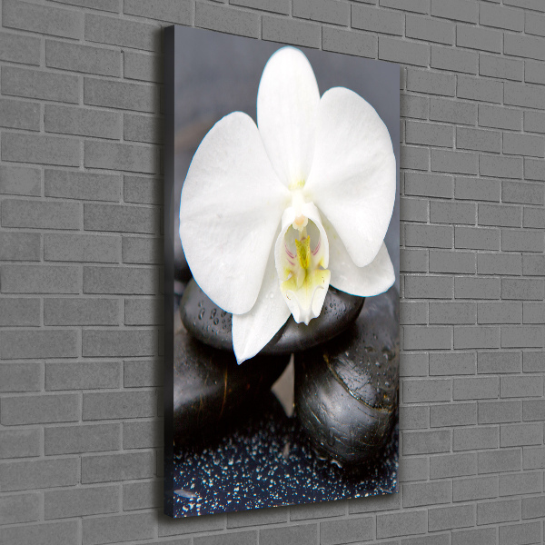 Verticaal canvasschilderij Orchidee en stenen