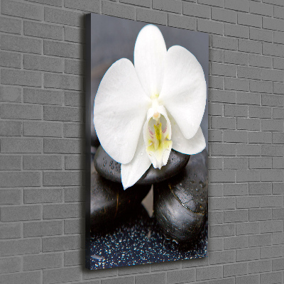 Verticaal canvasschilderij Orchidee en stenen