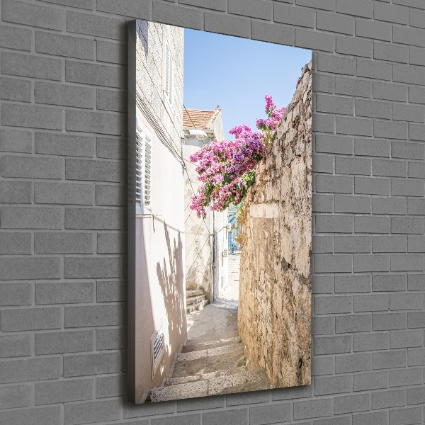 Verticaal schilderij op canvas Korčula, Kroatië