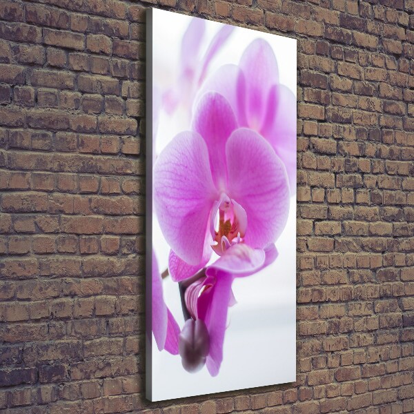 Verticaal schilderij op canvas Roze orchidee