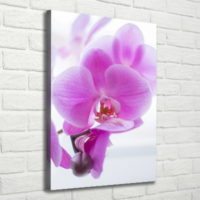 Verticaal schilderij op canvas Roze orchidee