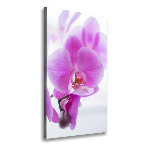 Verticaal schilderij op canvas Roze orchidee