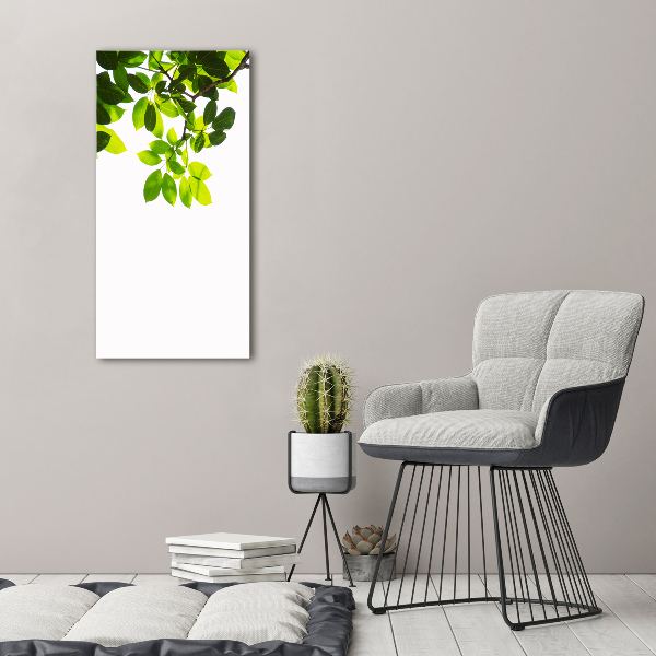 Verticale foto op canvas Groene bladeren