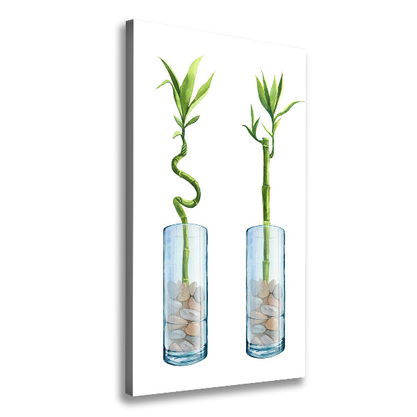 Verticale canvasfoto Bamboe in een pot