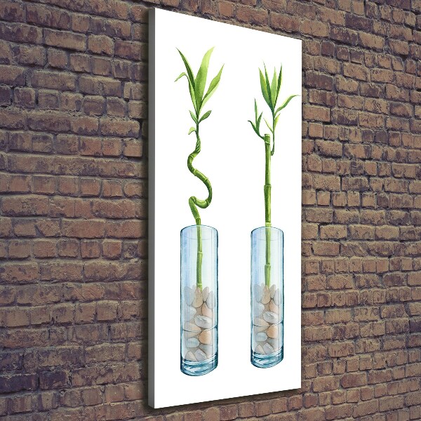 Verticale canvasfoto Bamboe in een pot