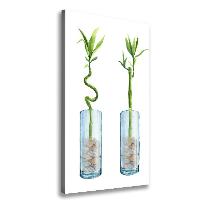 Foto obraz na płótnie pionowy Bambus w doniczce