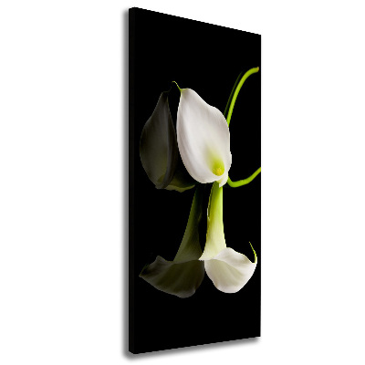 Verticaal canvasschilderij Witte calla