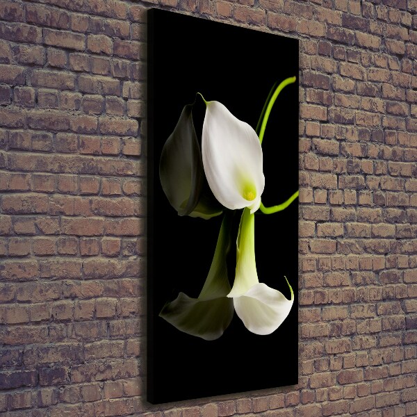 Verticaal canvasschilderij Witte calla